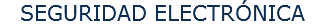 SEGURIDAD ELECTRÓNICA